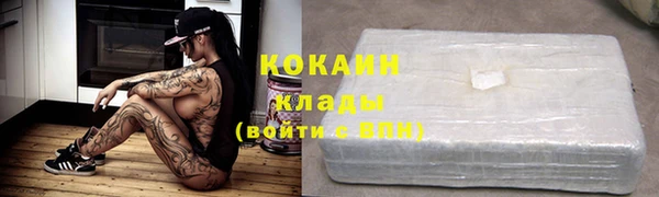 дживик Абаза