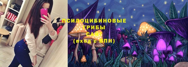 дживик Абаза